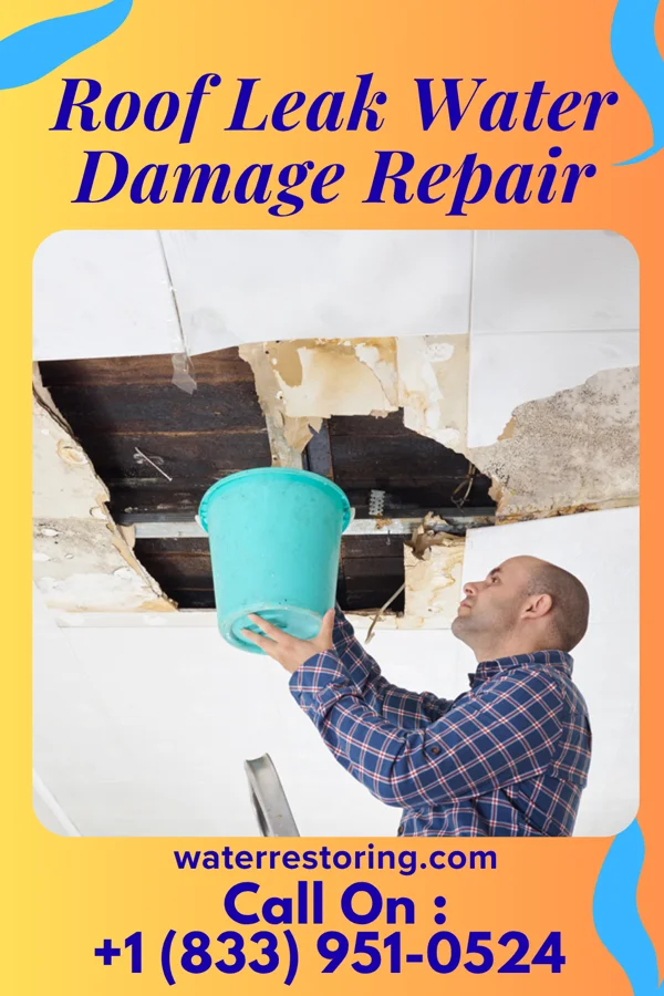 Roof Leak Water Damage Repair in Callender Lake, TX